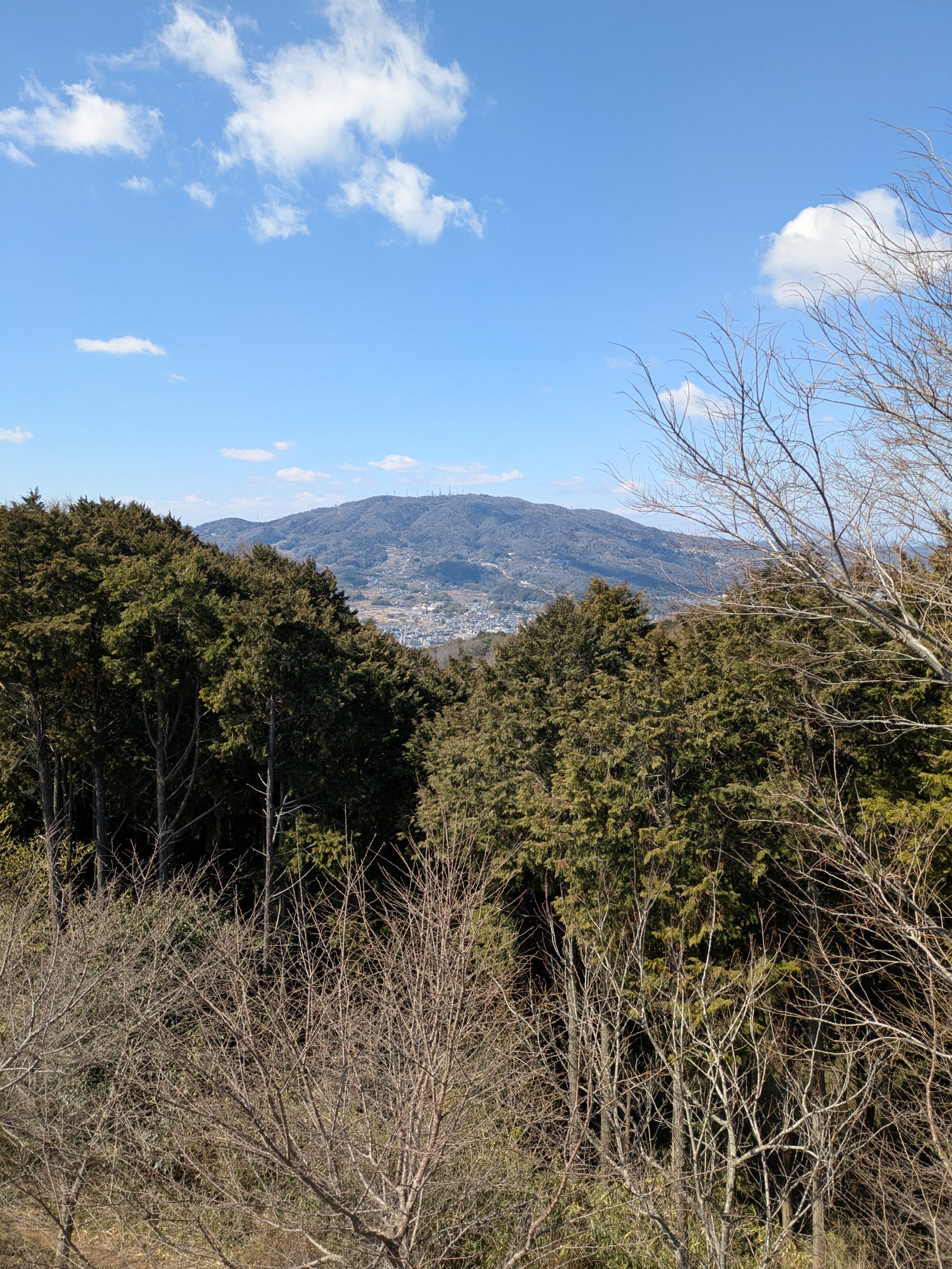 矢田丘陵20ｋｍ踏破　白庭台⇒法隆寺