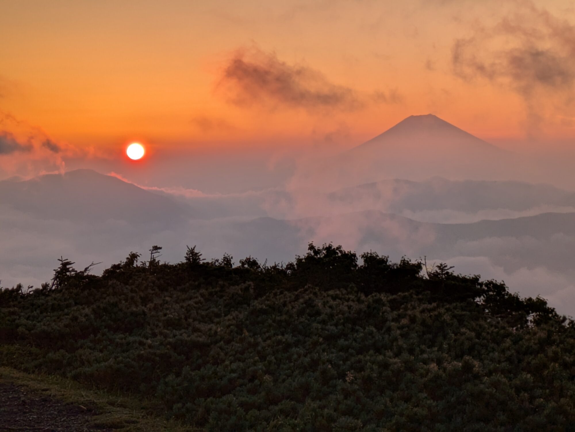 【リサーチ山行】南アルプス　光岳