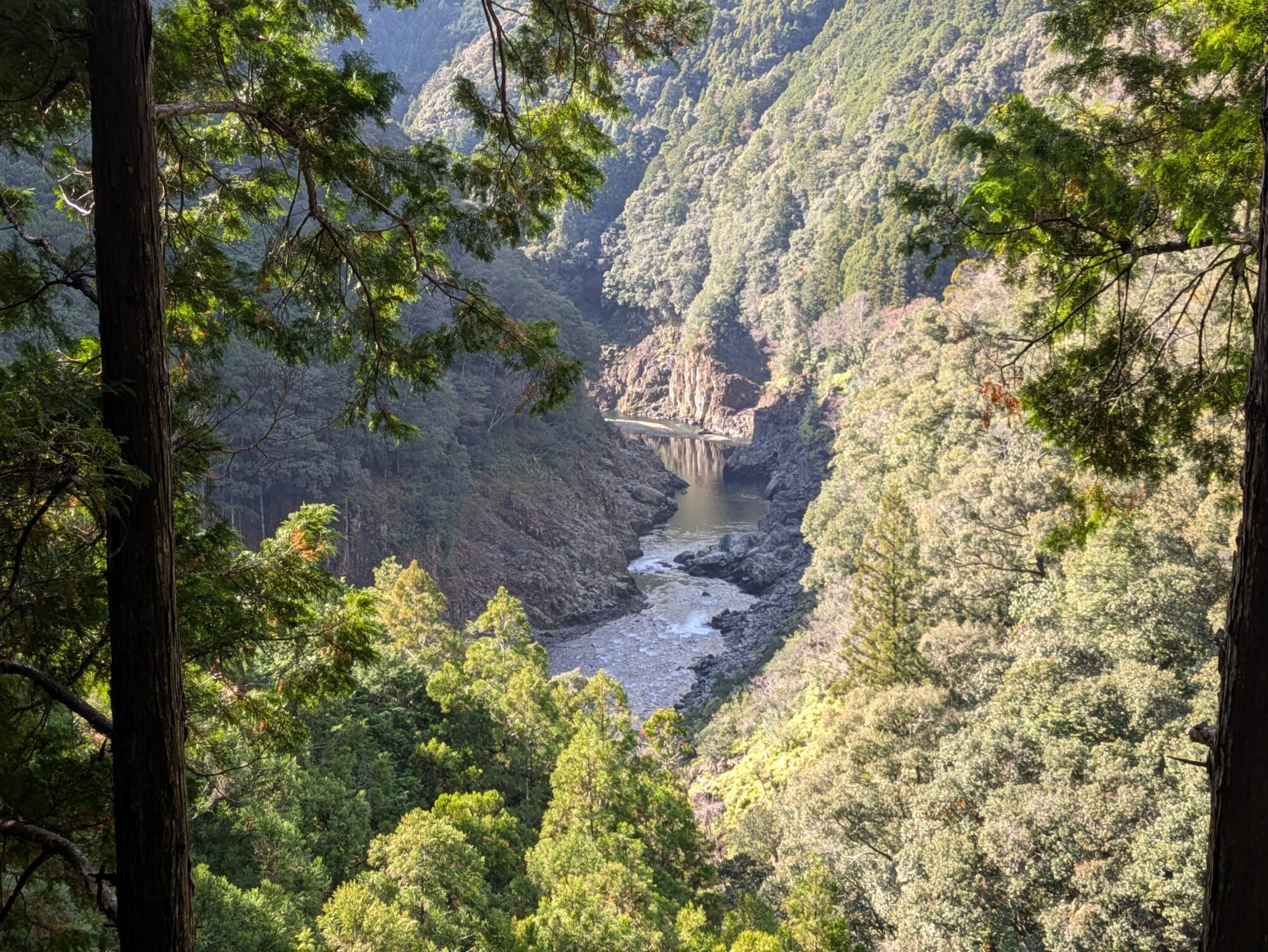 【ガイド記録】2025.12/19-21　日本唯一の飛び地・北山村　筏師の道を歩く