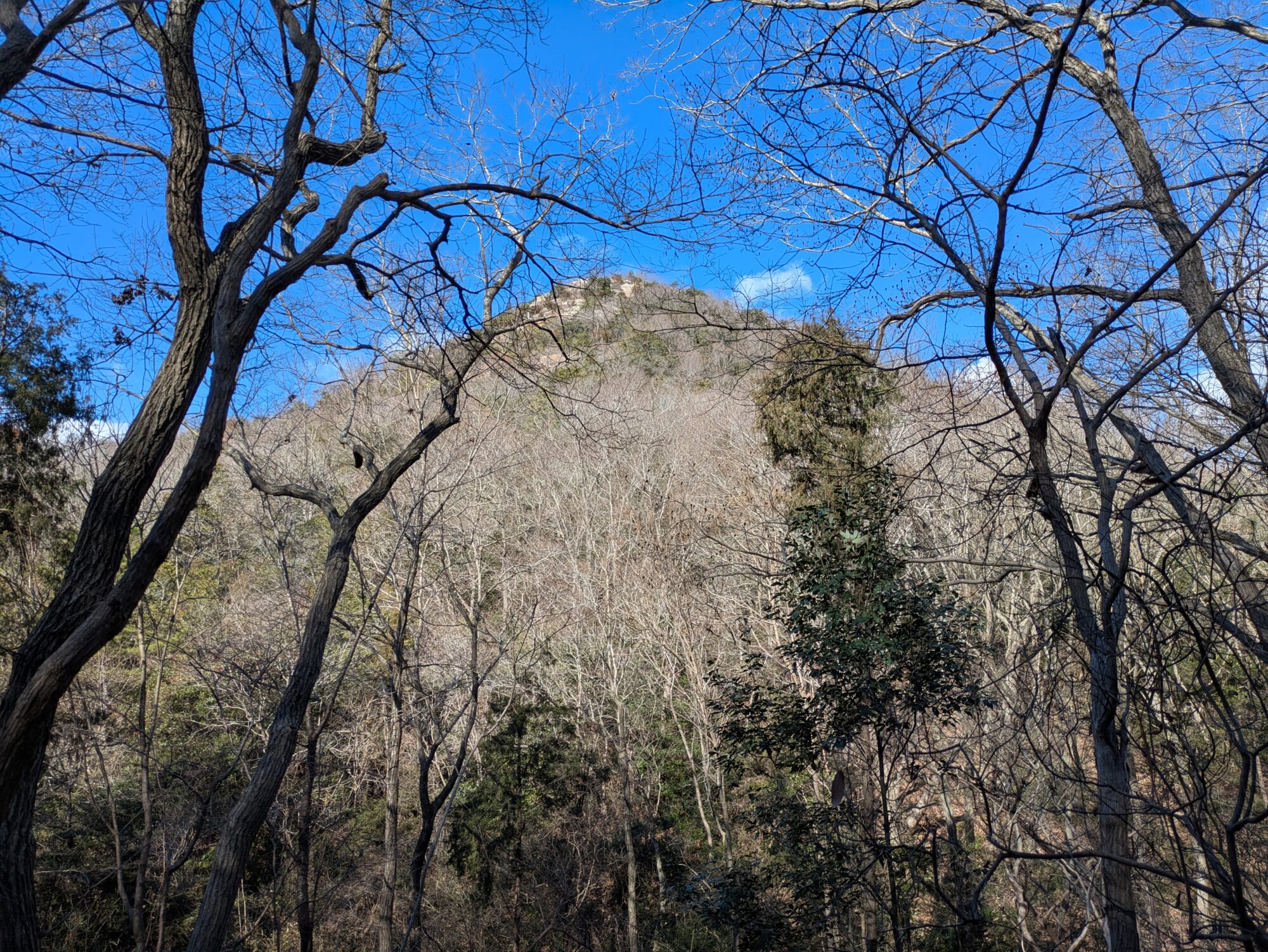 【ガイド記録】2026.1/11　小野アルプス縦走